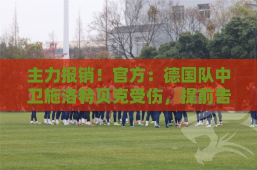 主力报销!官方:德国队中卫施洛特贝克受伤,提前告别本届世界杯 主力报销!官方:德国队中卫施洛特贝克受伤,提前告别本届世界杯