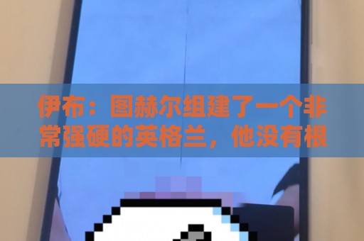 伊布：图赫尔组建了一个非常强硬的英格兰，他没有根据名气去选人
