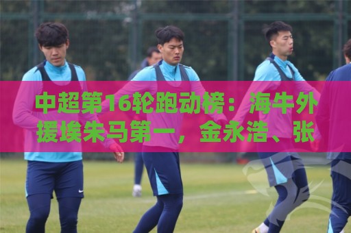 中超第16轮跑动榜：海牛外援埃朱马第一，金永浩、张修维进前五