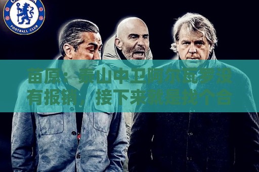 苗原:泰山中卫阿尔瓦罗没有报销,接下来就是找个合适的机会复出 苗原:泰山中卫阿尔瓦罗没有报销,接下来就是找个合适的机会复出