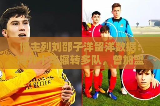 博主列刘邵子洋留洋数据：海外十年辗转多队，曾加盟拜仁后被外租