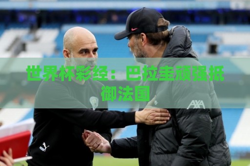 世界杯彩经：巴拉圭顽强抵御法国