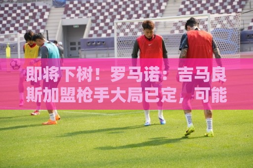 即将下树！罗马诺：吉马良斯加盟枪手大局已定，可能几小时内敲定