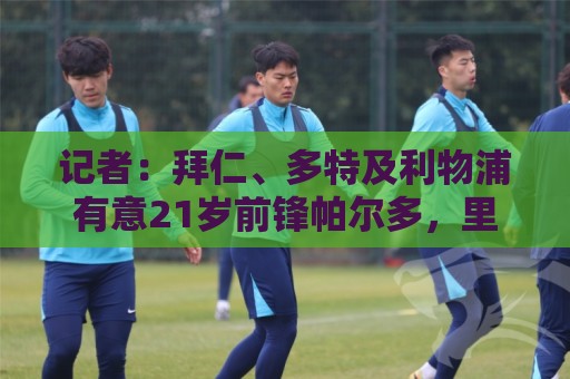 记者：拜仁、多特及利物浦有意21岁前锋帕尔多，里尔要价7000万欧