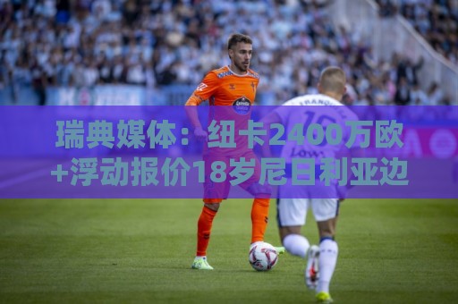 瑞典媒体：纽卡2400万欧+浮动报价18岁尼日利亚边锋约翰纳