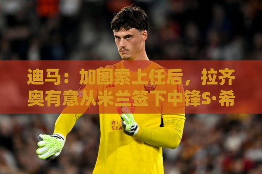 迪马:加图索上任后,拉齐奥有意从米兰签下中锋S·希门尼斯 迪马:加图索上任后,拉齐奥有意从米兰签下中锋S·希门尼斯