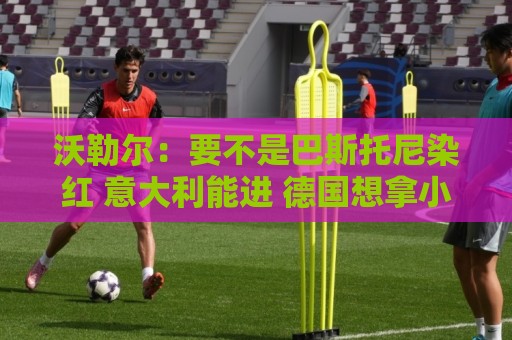 沃勒尔：要不是巴斯托尼染红 意大利能进 德国想拿小组第一不容易